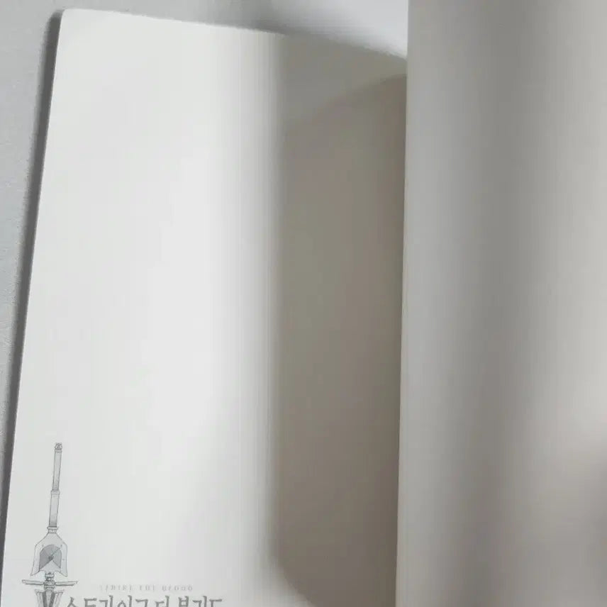 [BUNJANG] Strike the Blood Bonus Booklet / 스트라이크 더 블러드 특전 스페셜 부록 팝니다