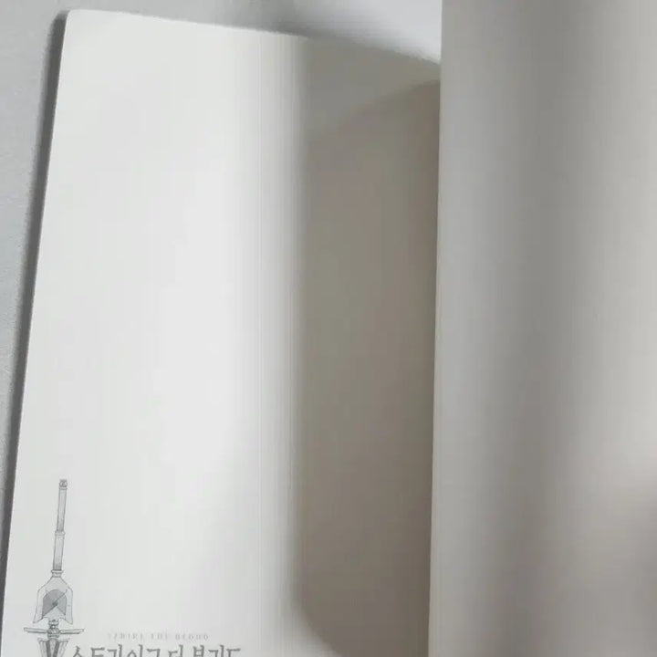 [BUNJANG] Strike the Blood Bonus Booklet / 스트라이크 더 블러드 특전 스페셜 부록 팝니다