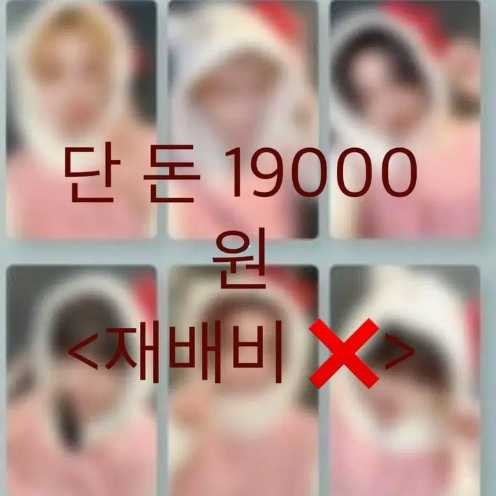 [BUNJANG] BOYNEXTDOOR Showcase Kitty Photocard Split Set / 보이넥스트도어 분철 보넥도 쇼케이스 키티
