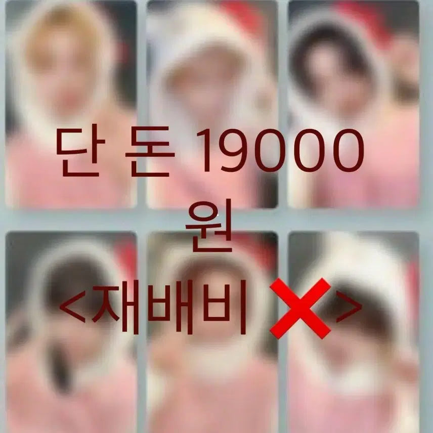 [BUNJANG] BOYNEXTDOOR Showcase Kitty Photocard Split Set / 보이넥스트도어 분철 보넥도 쇼케이스 키티