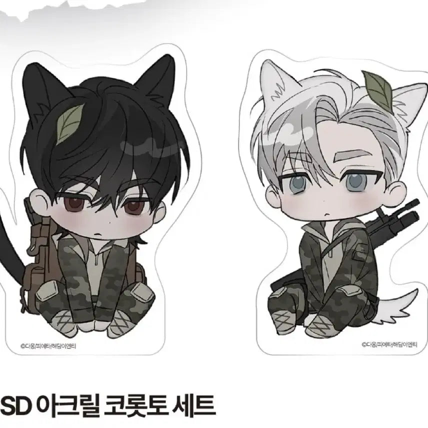 [BUNJANG] B-ON Pieta SD Acrylic Colorto Set / 비온 피에타 SD 아크릴 코롯토 세트