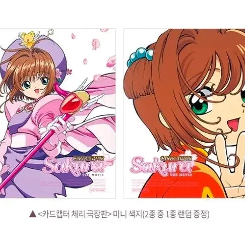 [BUNJANG] Cardcaptor Sakura Movie Special Mini Shikishi / 카드캡터 체리 사쿠라 극장판 2주차 주중 특전 미니색지