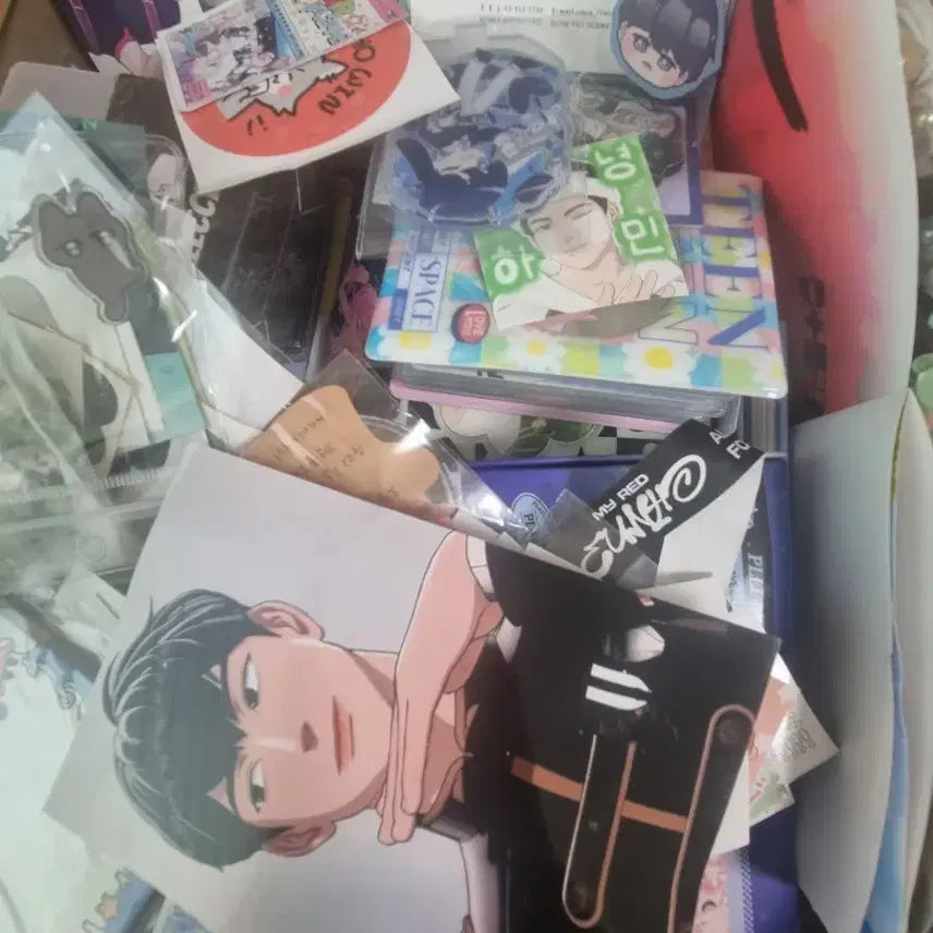 [BUNJANG] PLAVE Unofficial Goods Bundle Set / 플레이브 비공식 굿즈 적당히