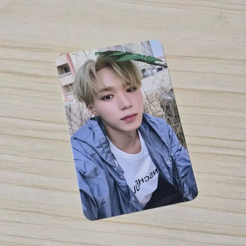 [BUNJANG] ALPHADRIVEONE OMG Pre-recording Photocard - Junseo / 알파드라이브원 OMG 사녹 공방 포카