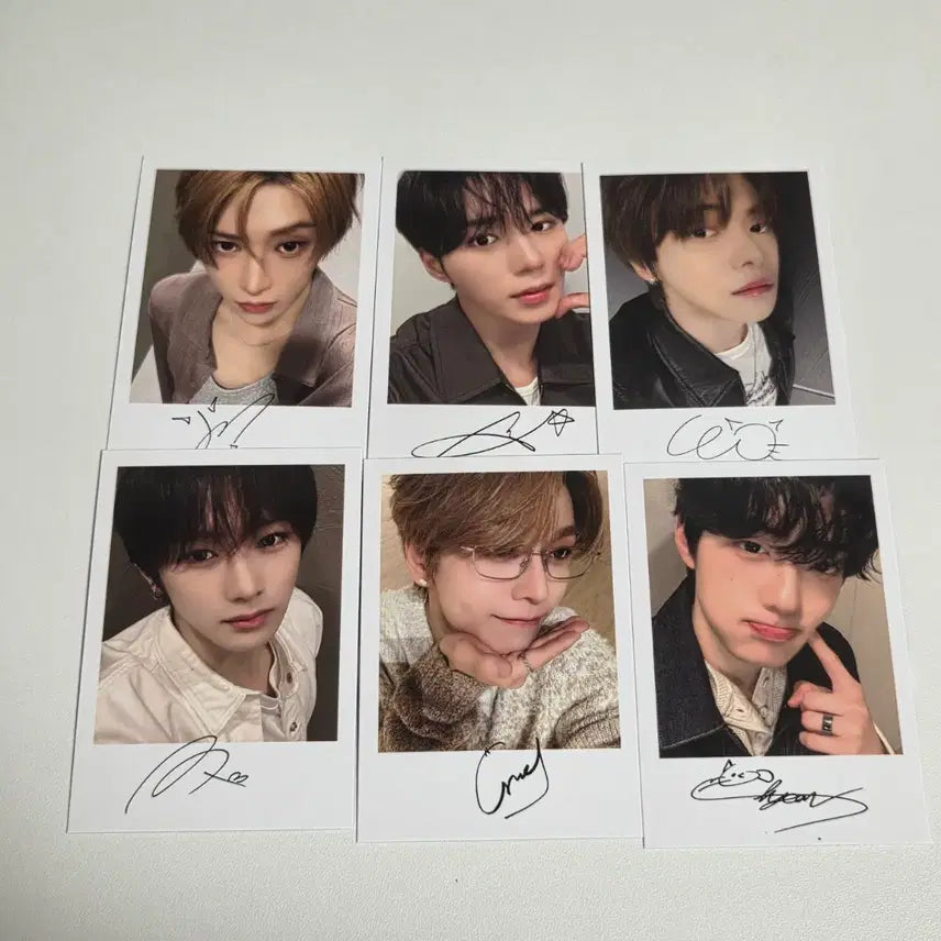 [BUNJANG] Bring Green Ardian One Photocard Set (6 pcs) / 브링그린 알디원 포카 세트(6ea)