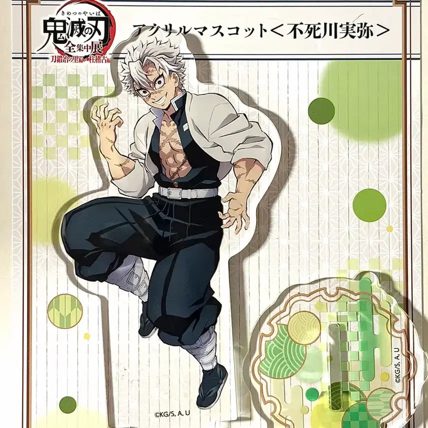[BUNJANG] Sanemi Shinazugawa &