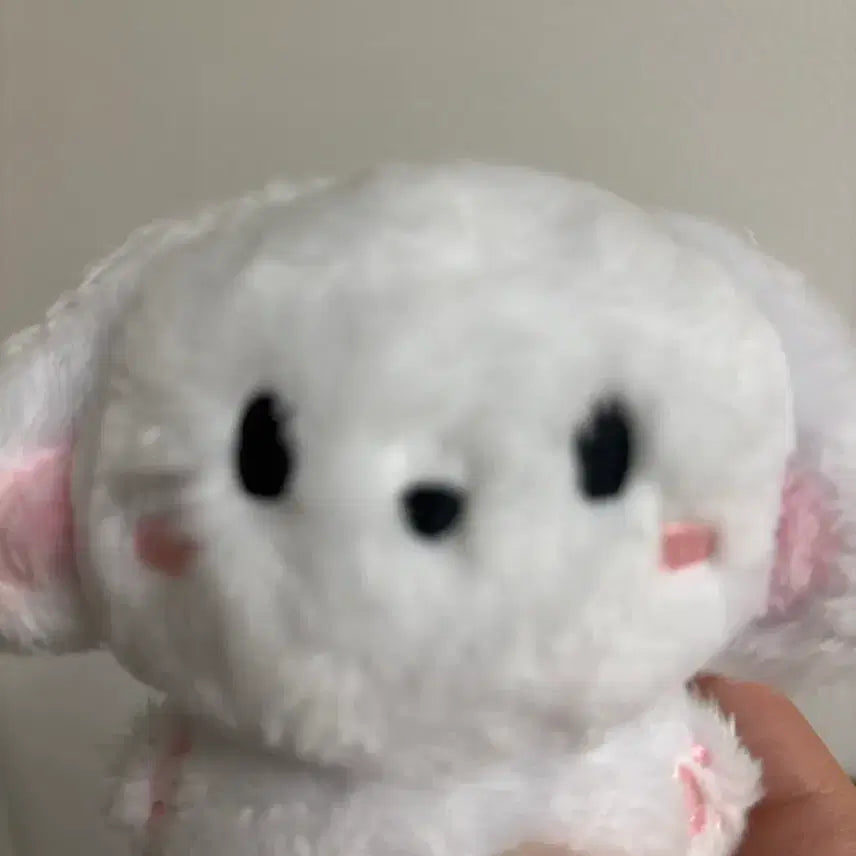 [BUNJANG] Hongkyung Cotton Doll / 솜경 홍경 인형 양도