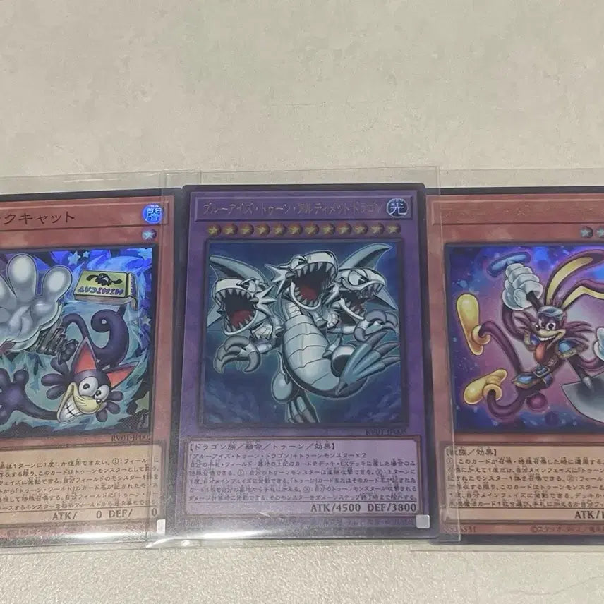 [BUNJANG] Yu-Gi-Oh! Ultimate Blue-Eyes Toon Dragon and Related Cards Bundle Set / 유희왕 궁극의푸른눈의 툰 드래곤 등 일괄
