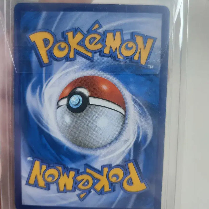 [BUNJANG] Pokemon Card Eevee Bundle Set / 포켓몬카드 에브이 세트