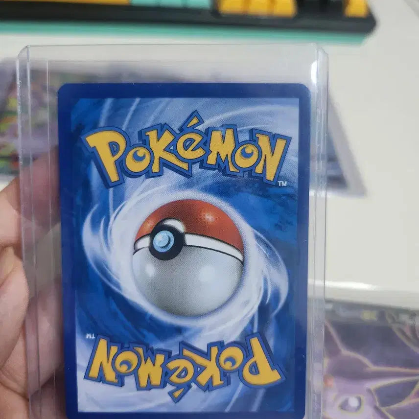 [BUNJANG] Pokemon Card Eevee Bundle Set / 포켓몬카드 에브이 세트