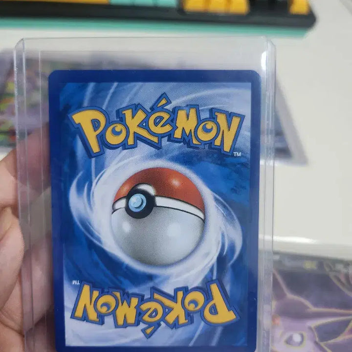 [BUNJANG] Pokemon Card Eevee Bundle Set / 포켓몬카드 에브이 세트