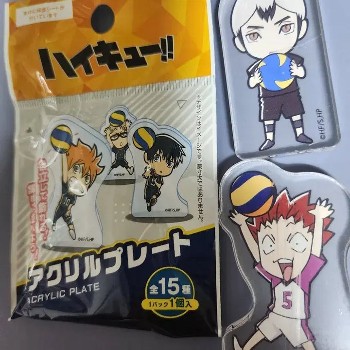 [BUNJANG] Haikyuu!! Kita Shinsuke &amp; Tendo Satori Acrylic Plate Bundle Set / 일괄) 다이소 하이큐 키타 신스케, 텐도 사토리 아크릴 플레이트