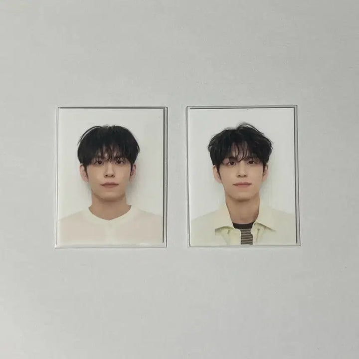 [BUNJANG] DAY6 Wonpil After Blow Official Photo Set / 데이식스 원필 애프터블로우 증사