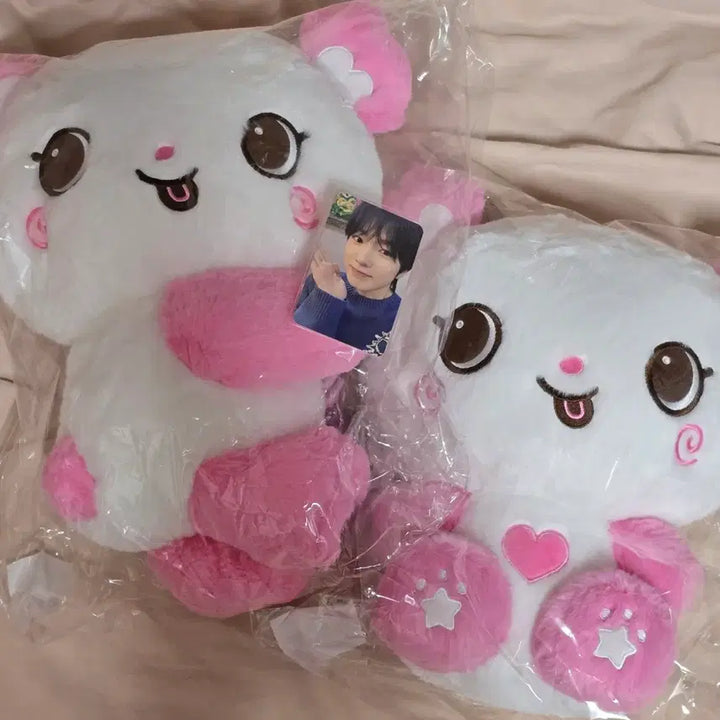 [BUNJANG] NCT WISH Sakurya 30cm Plush Doll Bundle Set / [미사용] 엔시티위시 팡이가방 + 30cm팡이 판매