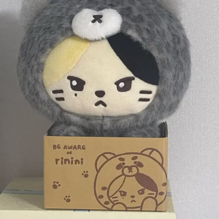 [BUNJANG] Lini Lini Celadon Vase / 제로니 리니니