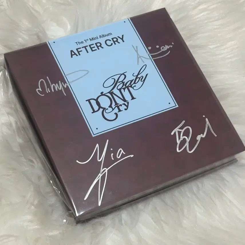 [SOLD OUT] [BUNJANG] Baby Don't Cry 1st Mini Album Signed Album / 베이비돈크라이 Baby DONT Cry 친필 싸인앨범