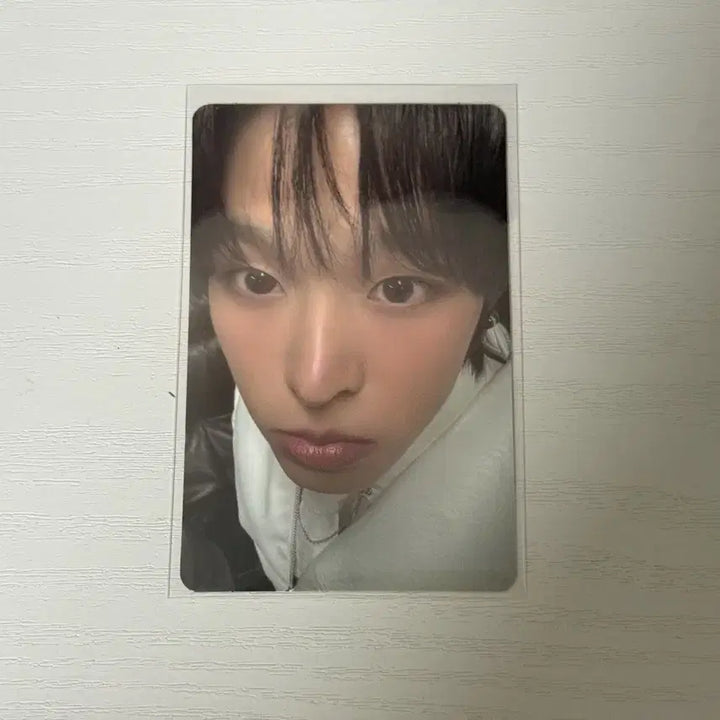 [BUNJANG] NCT WISH Wish Nini Kurorini Cushion Photocard / 엔시티위시 nctwish 위시니니 쿠리니니 쿠션 포카