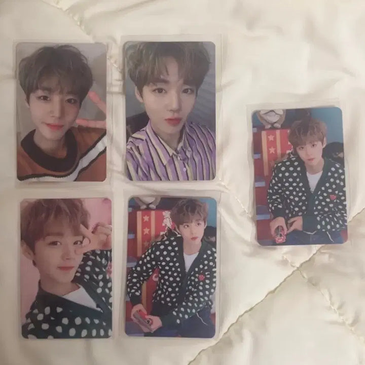 [BUNJANG] Park Jihoon Official MAY 1st Gen Fanclub Photocard / 박지훈 포카(공식 메이 1기 팬클럽 포카)