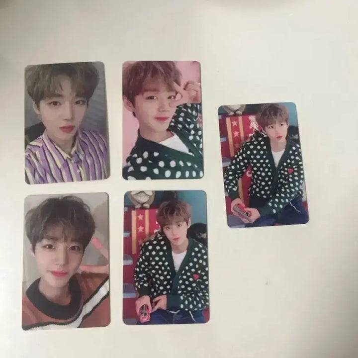 [BUNJANG] Park Jihoon Official MAY 1st Gen Fanclub Photocard / 박지훈 포카(공식 메이 1기 팬클럽 포카)