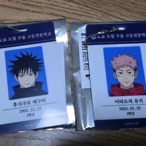 [BUNJANG] Jujutsu Kaisen Megumi Fushiguro ID Card Bundle Set / 주술회전 마파 팝업 id 카드 아이디카드 메구미 유지 일괄
