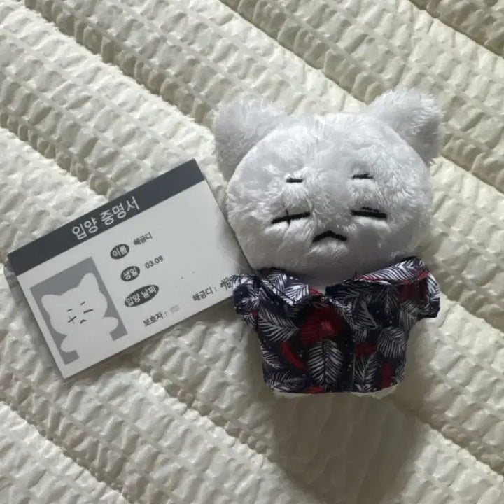 [BUNJANG] BTS Suga Haegeum Doll Photocard POB Lucky Draw / BTS 방탄 민윤기 슈가 해금디 인형 포카 미공포 럭드