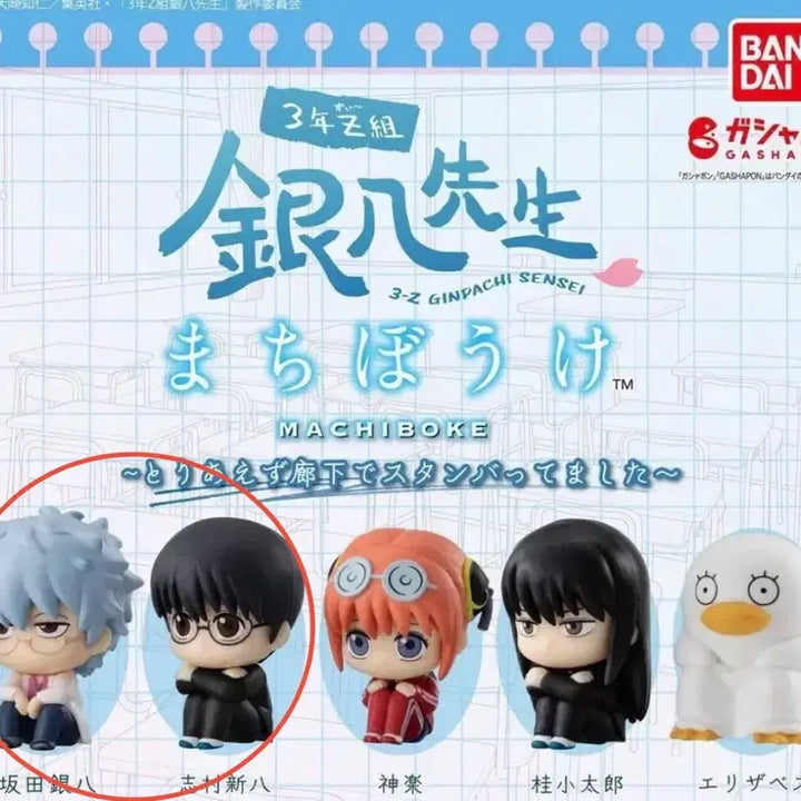 [BUNJANG] Gintama 3Z Machi-Boke Gintoki &amp; Shinpachi Sealed Bundle Set / 미개봉 일괄) 은혼 마치보케 가챠 3학년 Z반 삼젯 긴토키 신파치