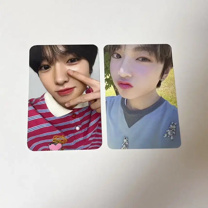 [BUNJANG] NCT WISH Sakuya Photocard / 엔시티위시 사쿠야 포카