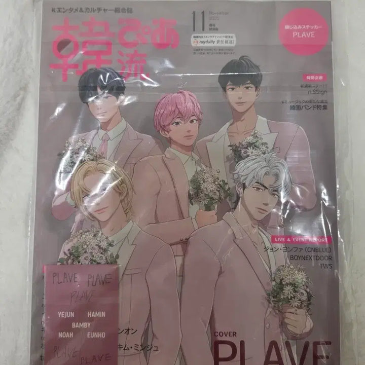 [BUNJANG] PLAVE 2025 Magazine Bundle Set / 플레이브 2025 잡지 일괄 양도