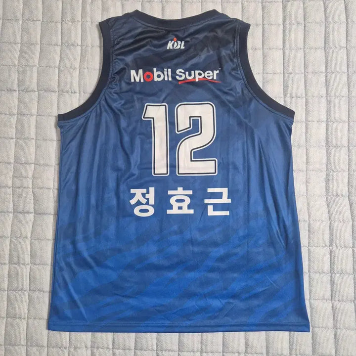 [BUNJANG] Korea Gas Corporation Pegasus Home Jeong Hyogeun 