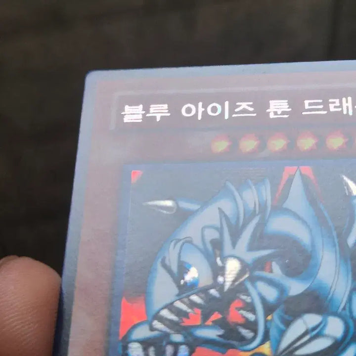 [BUNJANG] Yu-Gi-Oh! Blue-Eyes Toon Dragon Secret Rare / 유희왕 블루 아이즈 툰 드래곤 시크릿