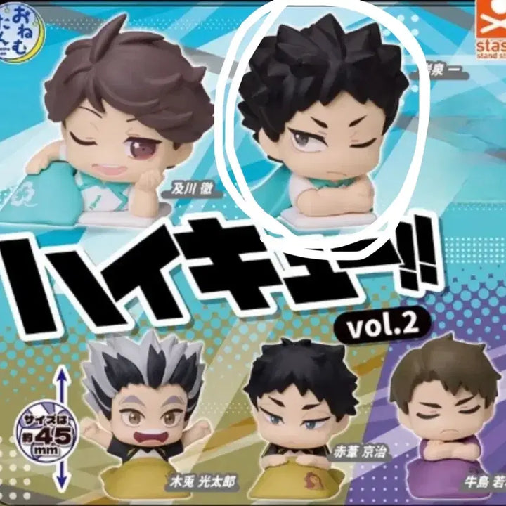 [BUNJANG] Haikyuu!! Onemutan Aobajohsai Iwaizumi Hajime Gacha Figure (Open Eyes Ver.) - Sealed / 하이큐 오네무탄 이와이즈미 가챠 피규어 미개봉