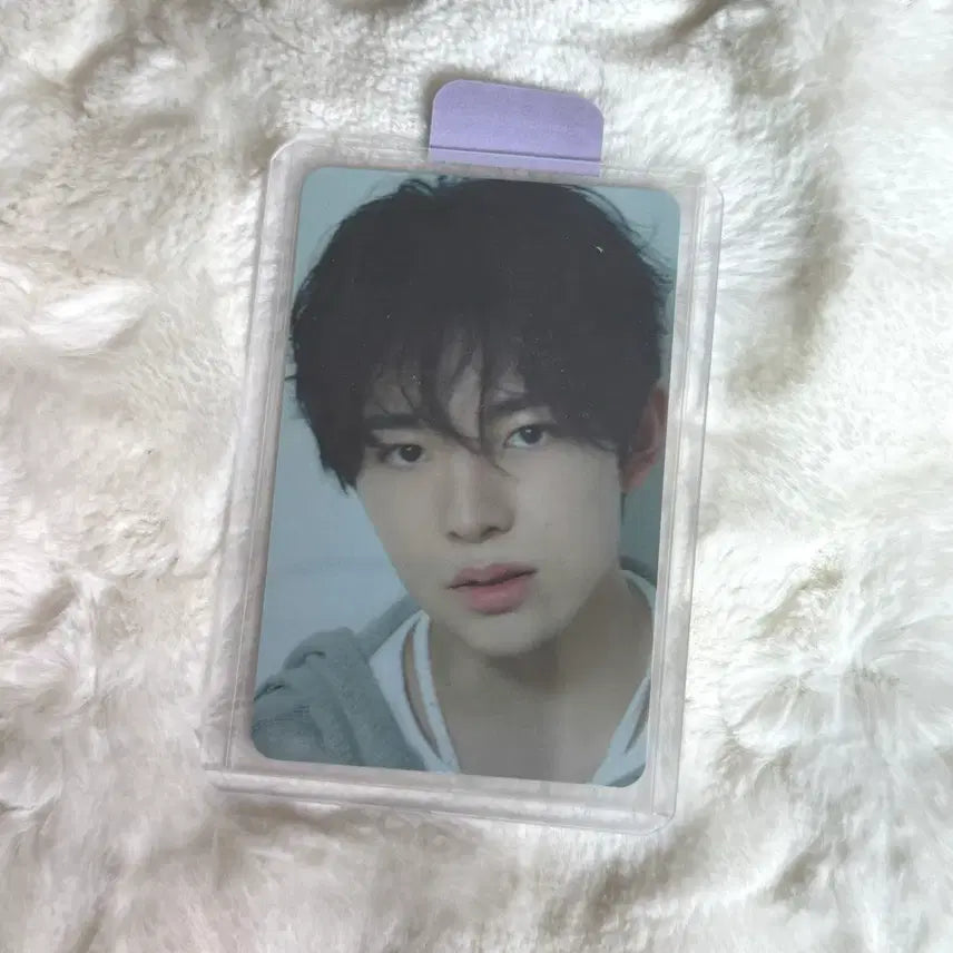 [BUNJANG] NCT Wish Yushi Photocard / 엔시티 위시 슴미니즈 유우시 포카 포토카드