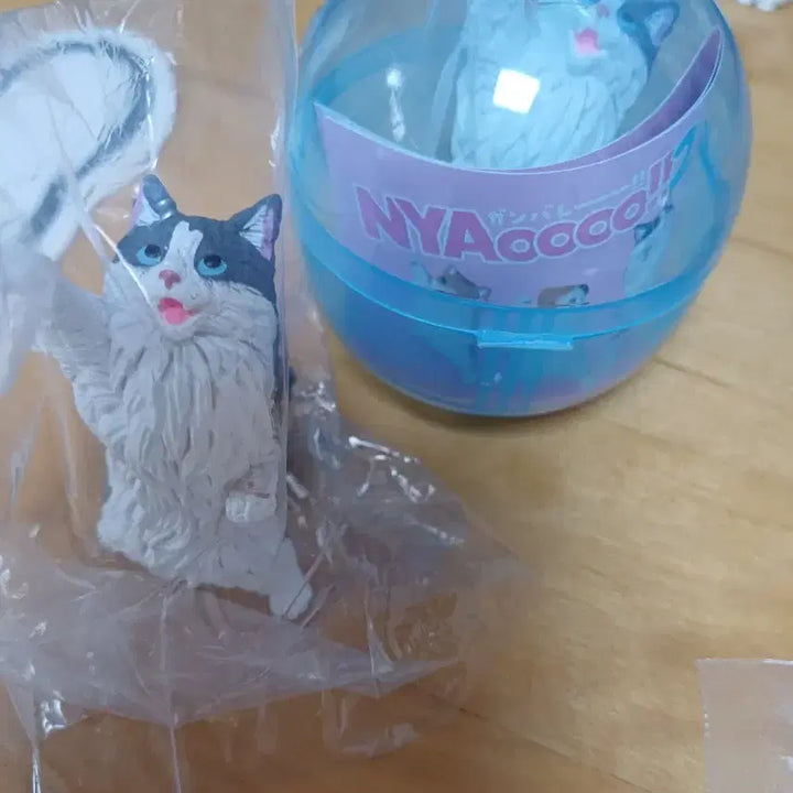 [BUNJANG] Cat Gachapon 7 Piece Bundle Set / 고양이 가챠 7종 일괄