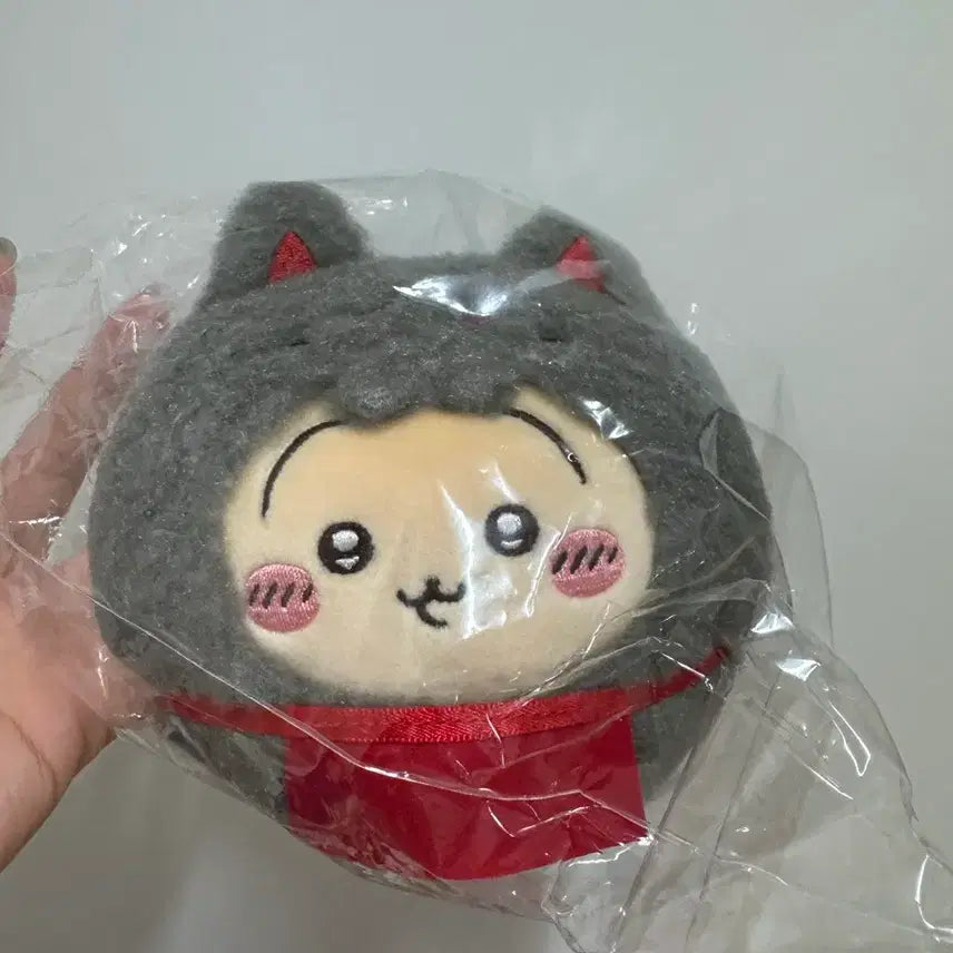 [BUNJANG] Usagi Mogumogu Honpo Fushimi Kyoto Limited / 우사기 모구모구 혼포 후시미점 교토 한정