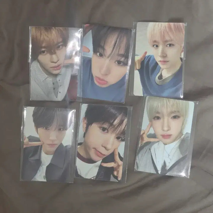 [BUNJANG] NCT WISH Odd To Love POB (Berry Ver., Jump Up Ver.) Photocard / 엔시티위시 오드투러브 미공포 판매 (0505 베리즈 0529 점프업)