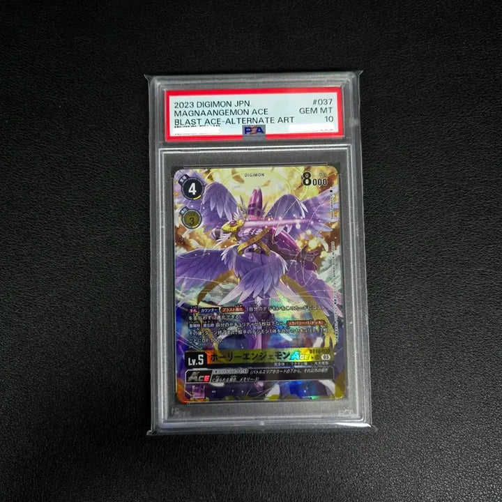 [SOLD OUT] [일판] 디지몬카드 23&