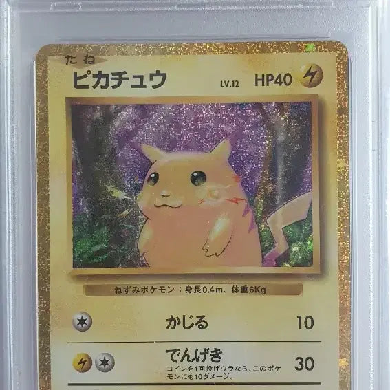 [BUNJANG] Pokemon Classic Pikachu PSA 10 Japanese Version / 일판 포켓몬 클래식 피카츄 psa10