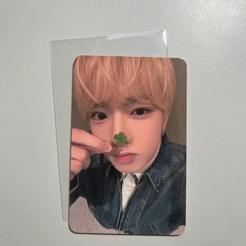 [BUNJANG] NCT-WISH Sakuya Clover Photocard / 최저가) 엔시티위시 사쿠야 컬러 케타포 네잎클로버 포카
