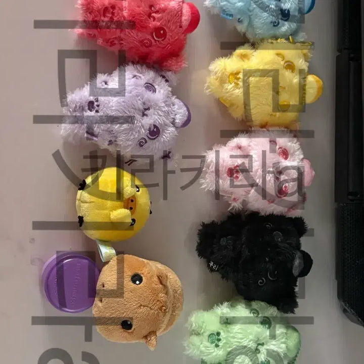 [BUNJANG] NCT WISH Riku Color Doll Bundle Set / 가격인하)쿠리 컬러돌 카피바라 NCT WISH RIKU