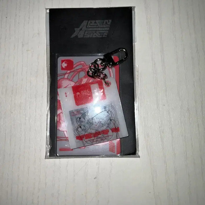 [BUNJANG] AStage Sua Anact Garden Recognition Keyring Acrylic Photocard 2nd Anniversary Pop-up Floppy Disk / 에이스테 수아 아낙트가든 인식키링 아크릴 포토카드 2주년팝업 플로피디스크