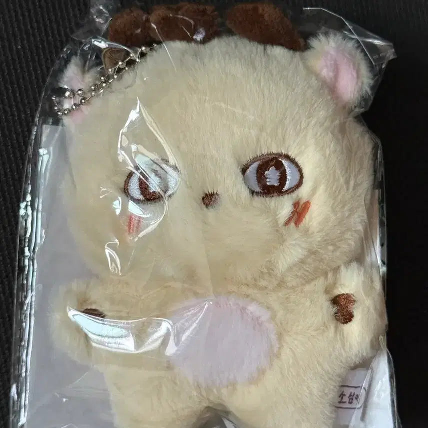 [SOLD OUT] 박지훈 인형 소심이 포카포함