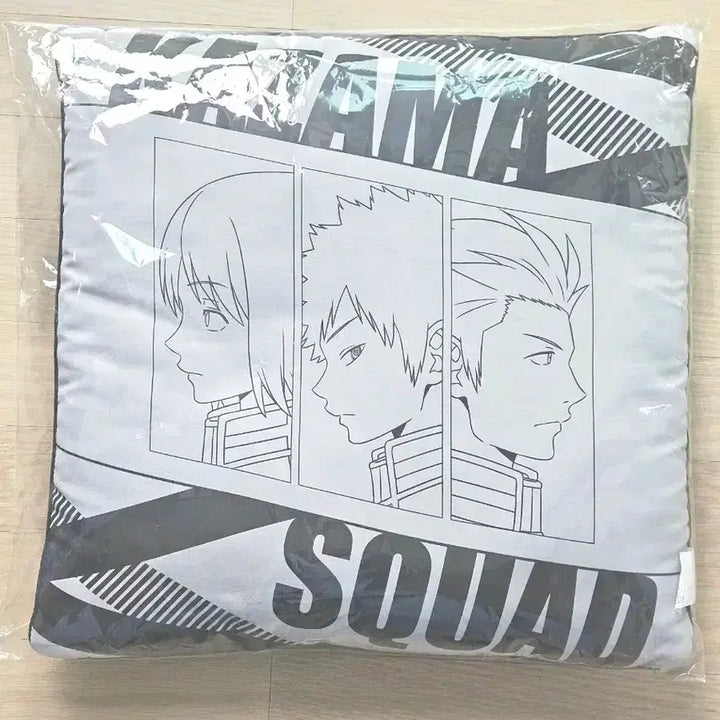 [BUNJANG] World Trigger Cushion / 월드트리거 쿠션
