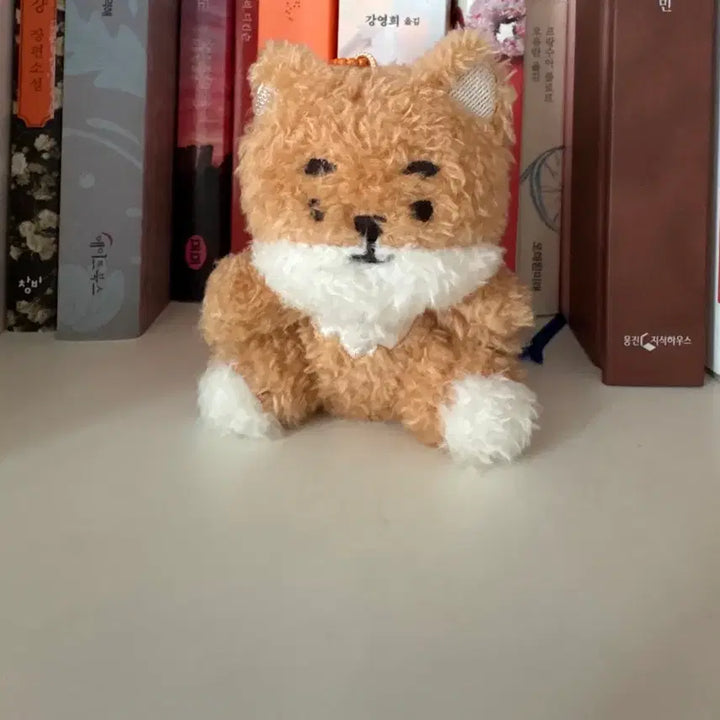 [BUNJANG] Day6 Dannyz Sitting Petit Keyring / [출시즉시 버전]데이식스 데니멀즈 앉은 쁘띠 케 앉은 케