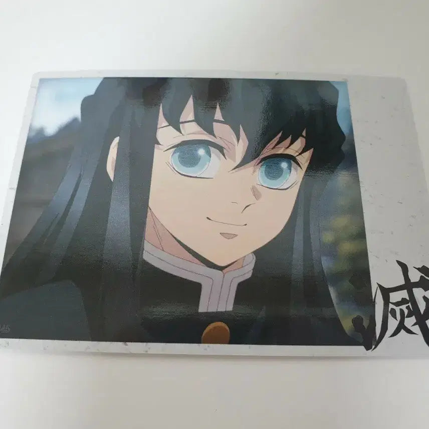 [BUNJANG] Demon Slayer Muichiro Tokito Paper Photocard / 귀멸의칼날 토키토 무이치로 포토카드 지류 귀칼