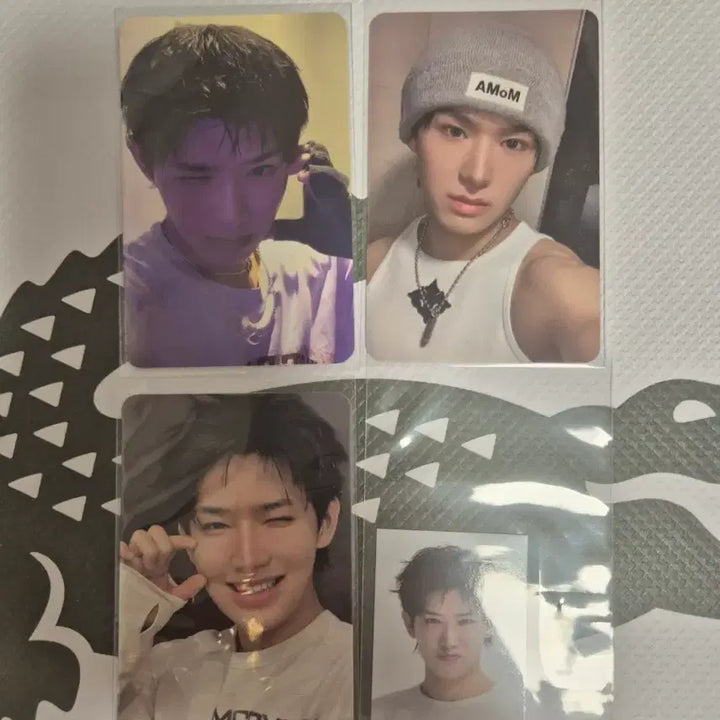 [BUNJANG] MODISEY Lee Chen Bundle Set Photocard / 모디세이 이첸 포토카드 일괄