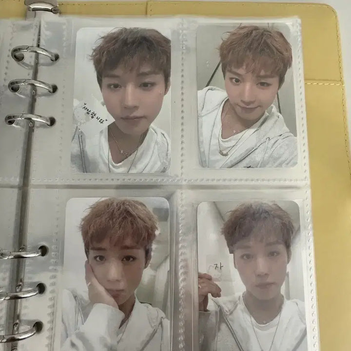 [BUNJANG] Park Ji Hoon Photocard Bundle Set / 박지훈 포토카드 판매 낱개 일괄 다 가능 (앨포a,b버전 다 있음)