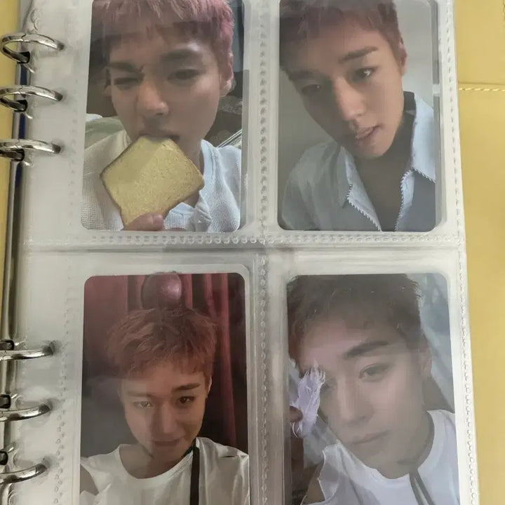 [BUNJANG] Park Ji Hoon Photocard Bundle Set / 박지훈 포토카드 판매 낱개 일괄 다 가능 (앨포a,b버전 다 있음)