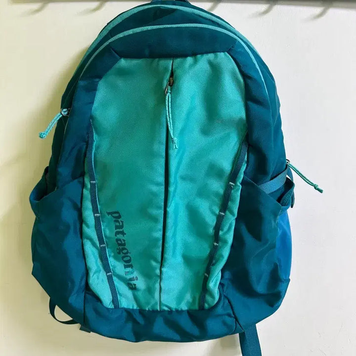 [BUNJANG] Vintage Patagonia Backpack Teal/Mint / 빈티지 희귀매물 파타고니아 백팩 청록색/민트색