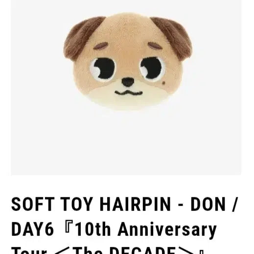 [BUNJANG] Day6 Soft Hairpin / 데이식스 소프트 헤어핀
