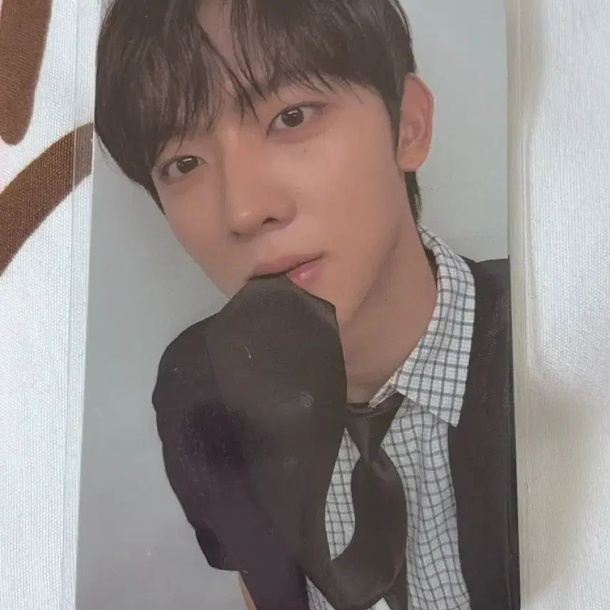 [BUNJANG] ANDWAVE Seungyeon Mul-eottai POB Photocard / 앤더블 승언 물었타이 특전 포카 2,000